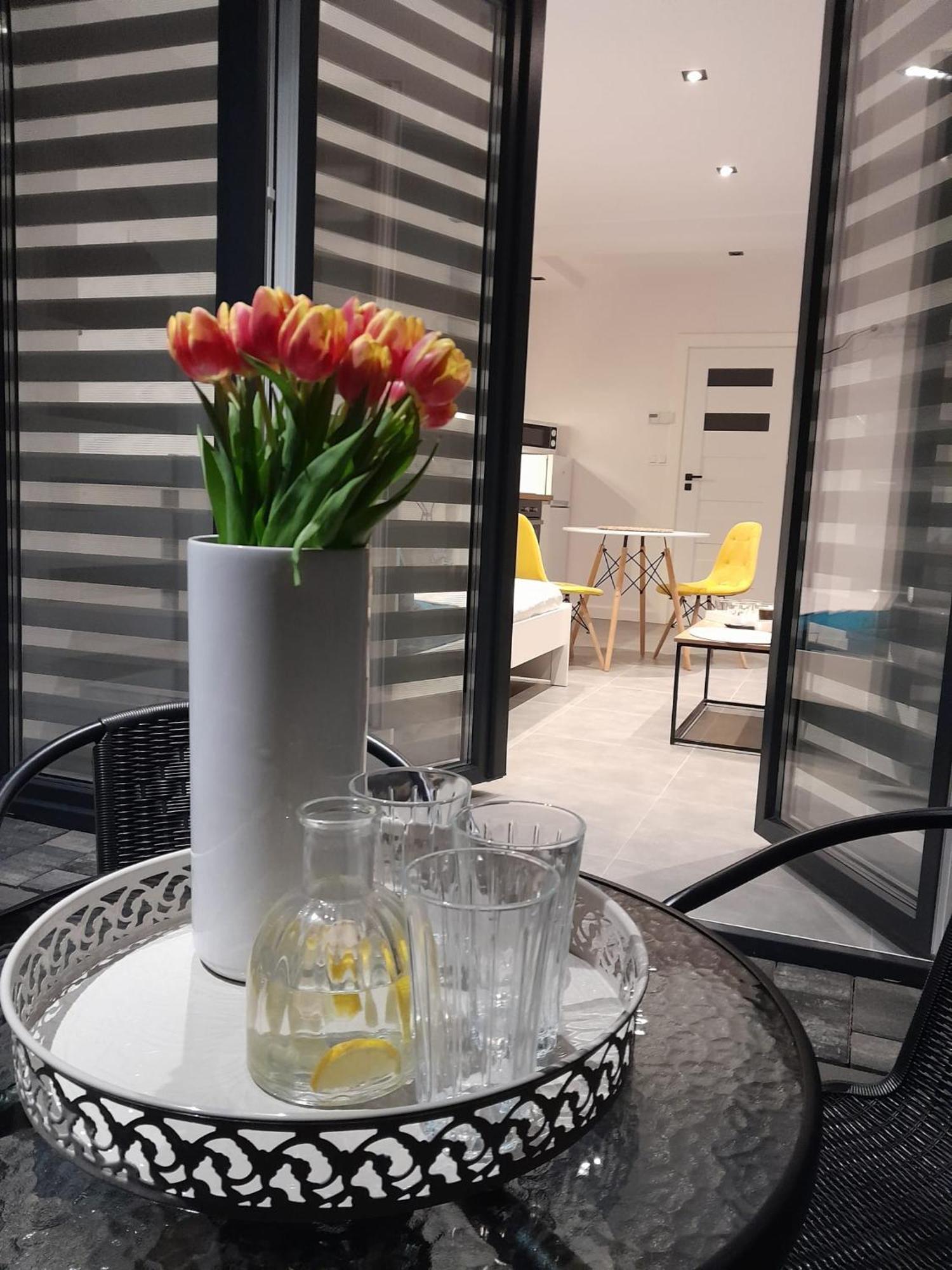 Viva Apartments Освиенцим Екстериор снимка
