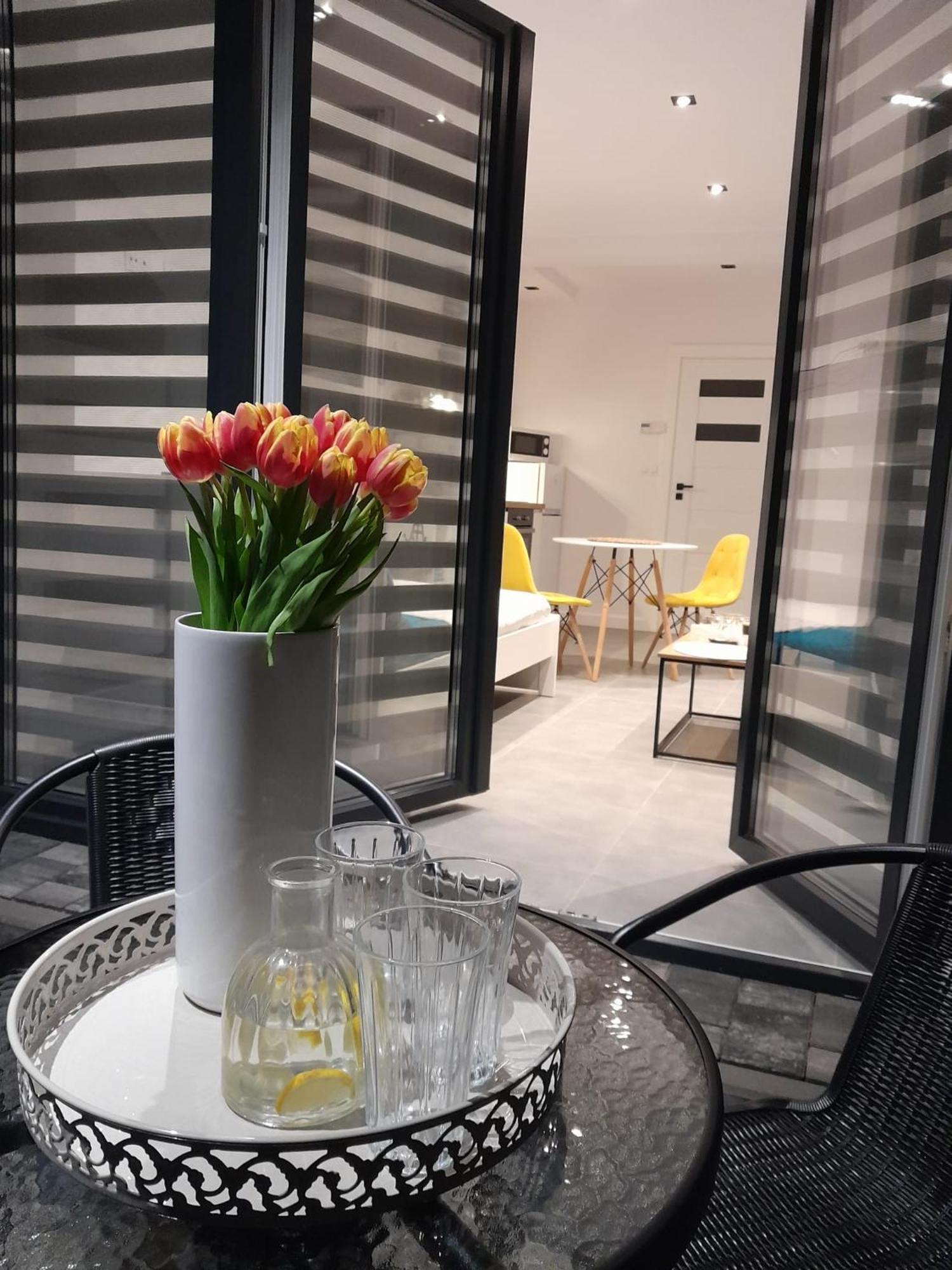 Viva Apartments Освиенцим Екстериор снимка